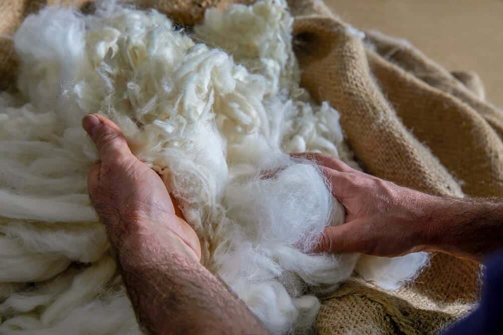 Sealy sustainable sourcing