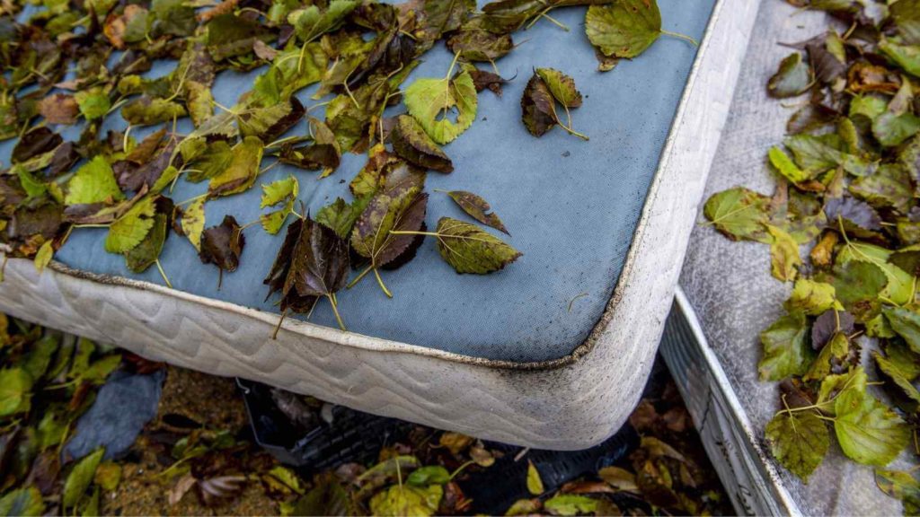 Guide to Recycling your Mattress Sealy Australia