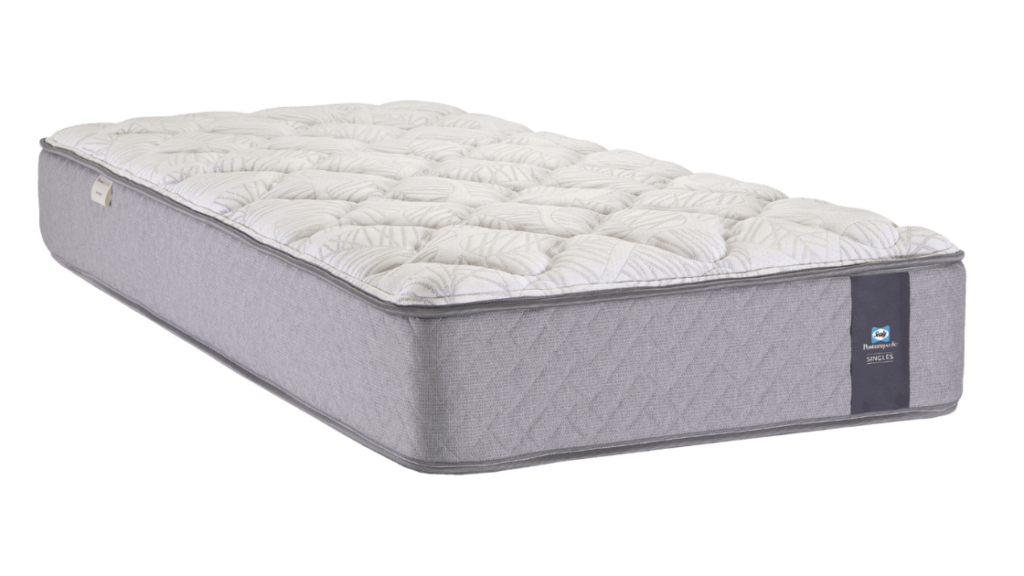 Top 10 Best Mattresses 2024 Sale Clearance Lesli Janeczka