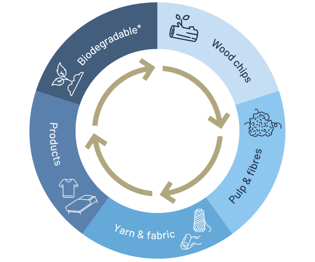 What is Tencel? 2024 Guide Sealy Australia